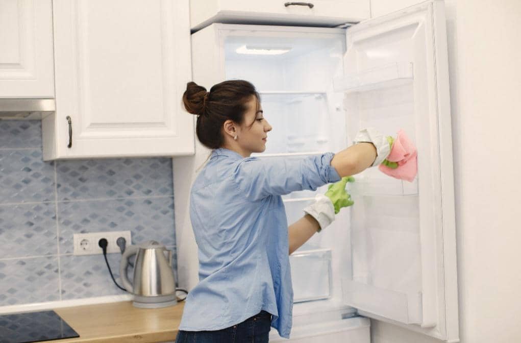 ilustrasi membersihkan kulkas