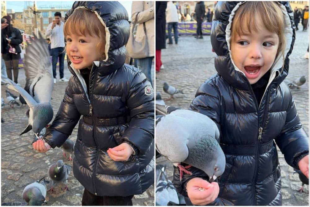 Kamari bermain-main dengan merpati di Belanda