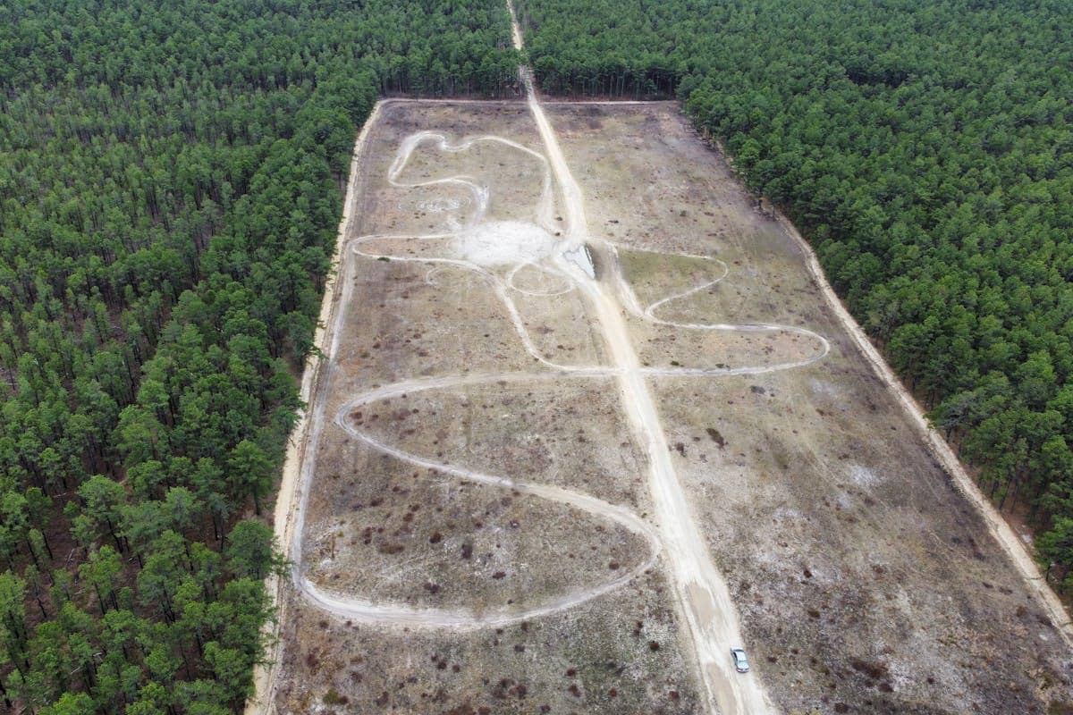 ilustrasi deforestasi