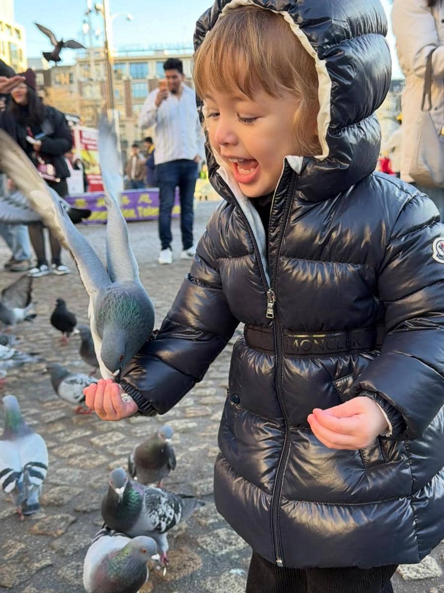 Kamari bermain-main dengan merpati di Belanda