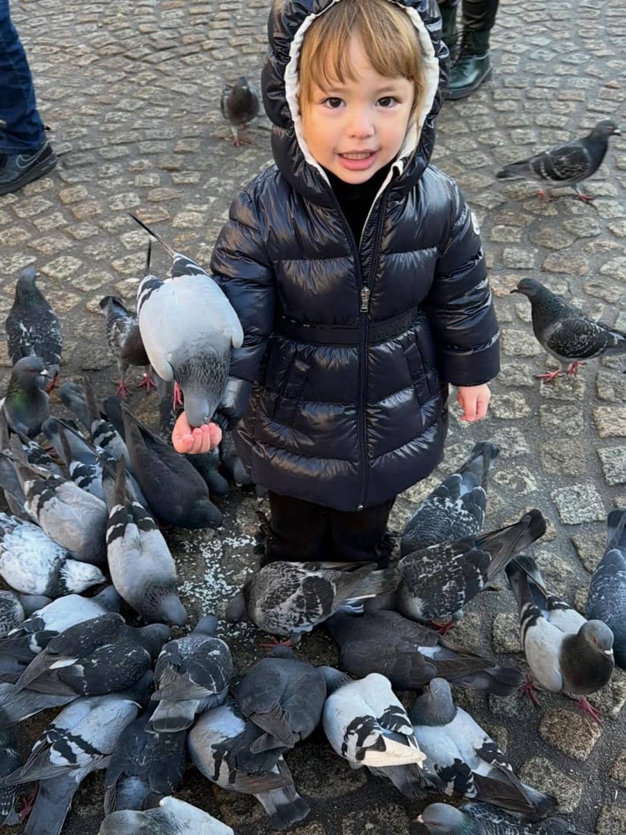 Kamari bermain-main dengan merpati di Belanda