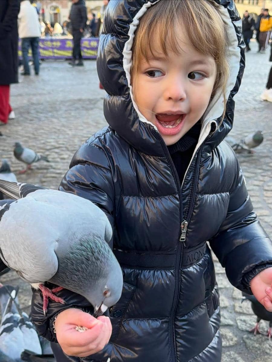 Kamari bermain-main dengan merpati di Belanda