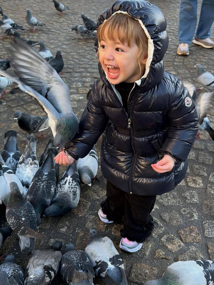 Kamari bermain-main dengan merpati di Belanda