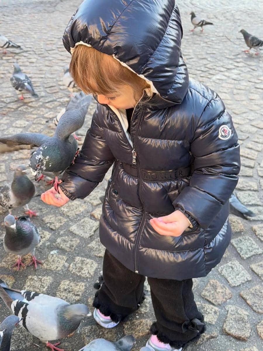 Kamari bermain-main dengan merpati di Belanda