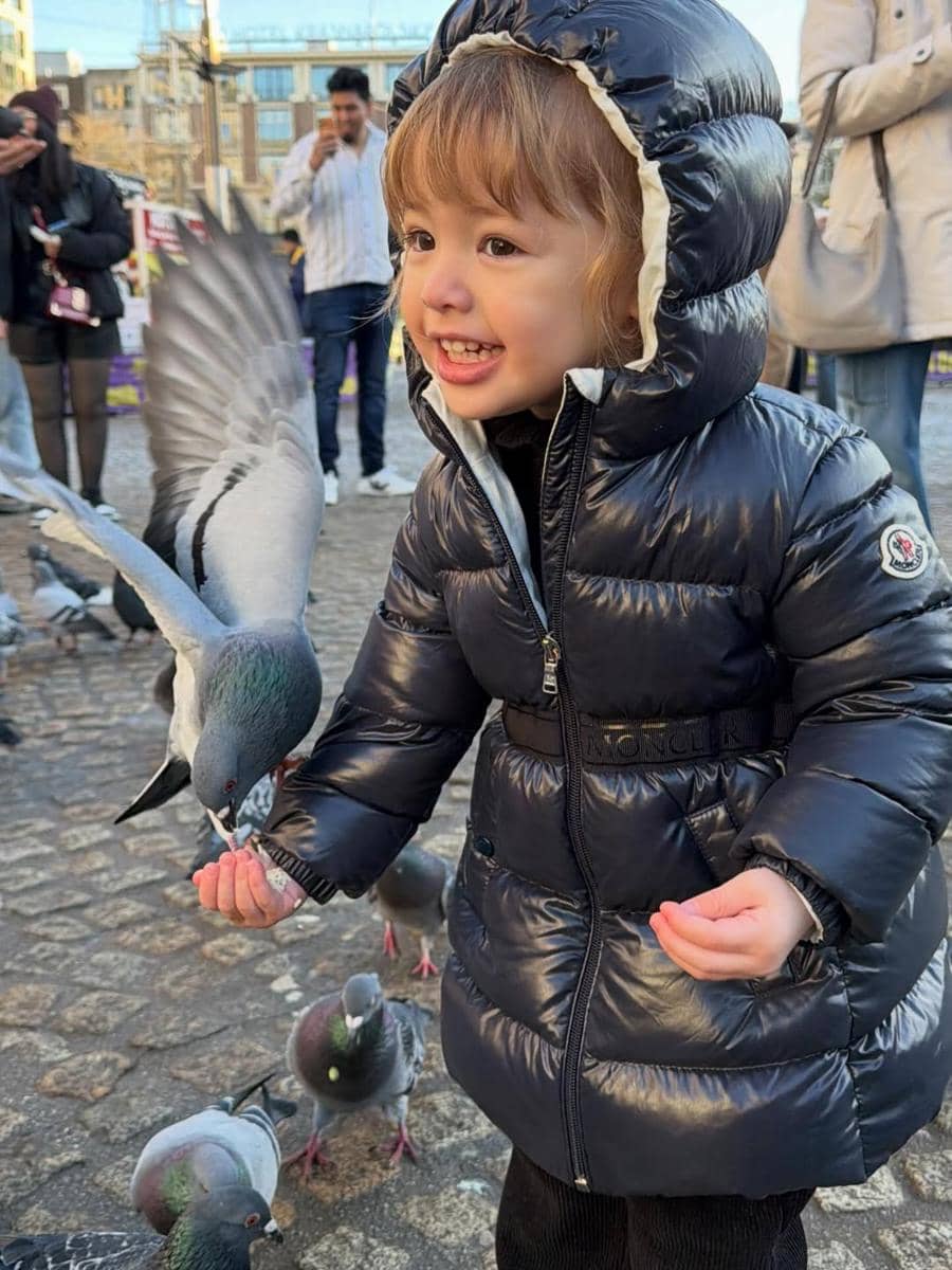 Kamari bermain-main dengan merpati di Belanda