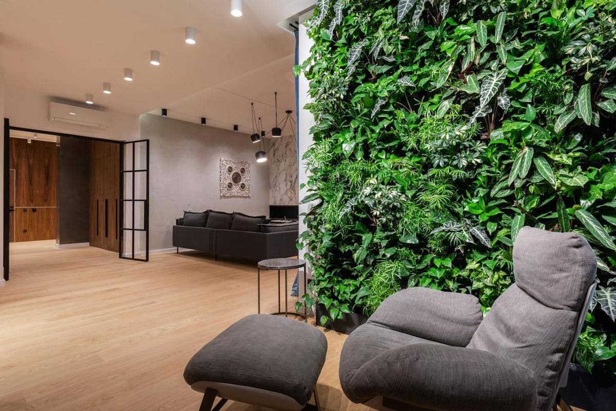 ilustrasi tanaman indoor