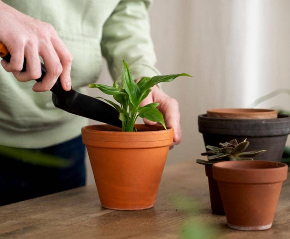 pot untuk menanam stroberi (freepik.com/freepik)