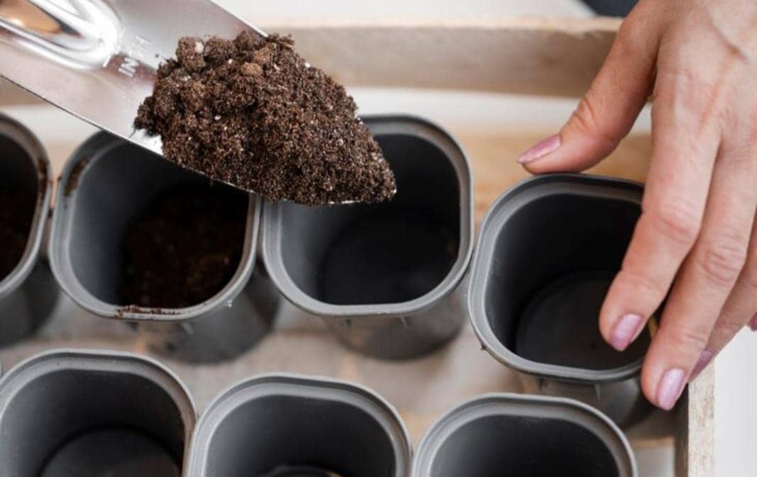 ilustrasi memberi pupuk