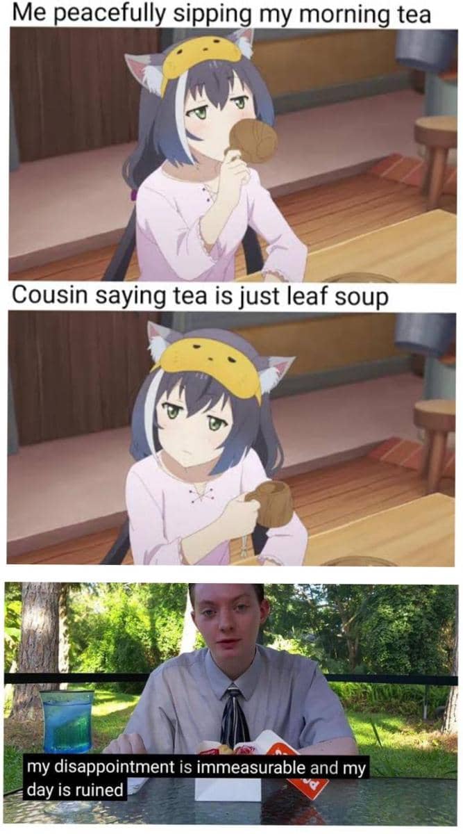 meme anime tentang sop