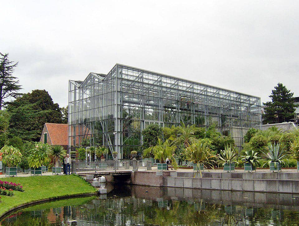 Hortus Botanicus di Leiden