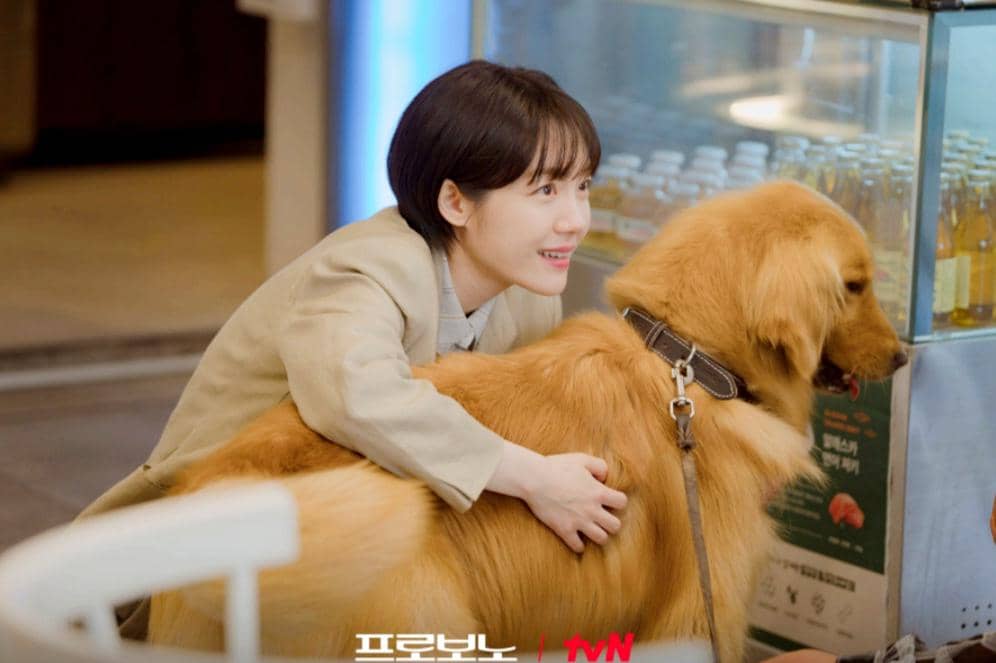 still cut drama Pro Bono