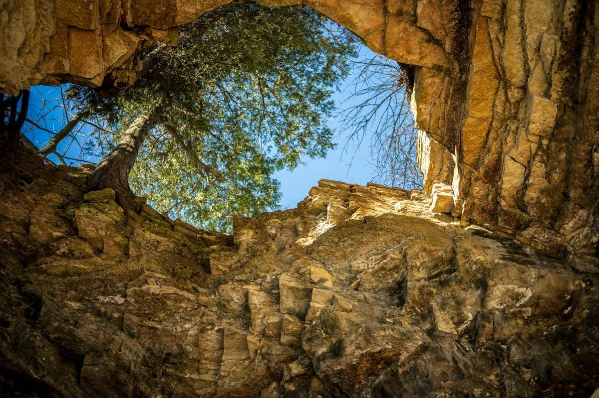 ilustrasi melihat ke atas tebing berbatu dan berpohon