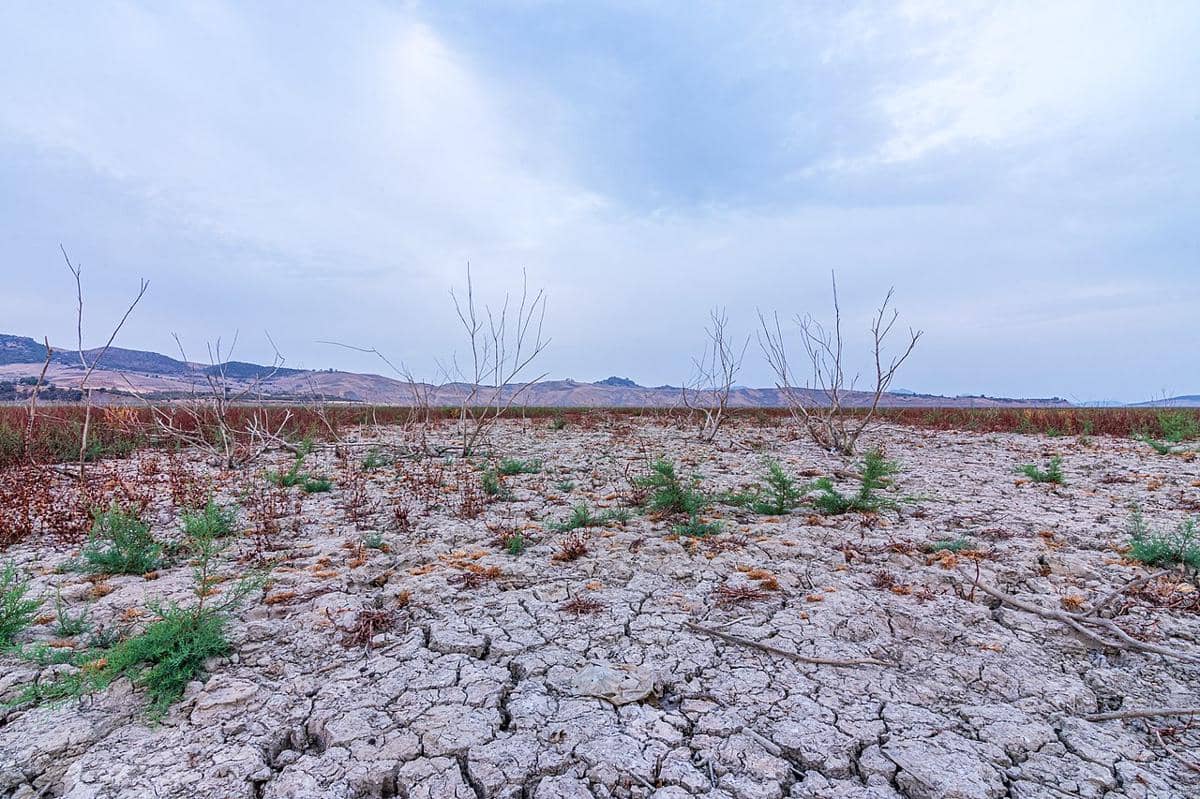 Ilustrasi kemarau