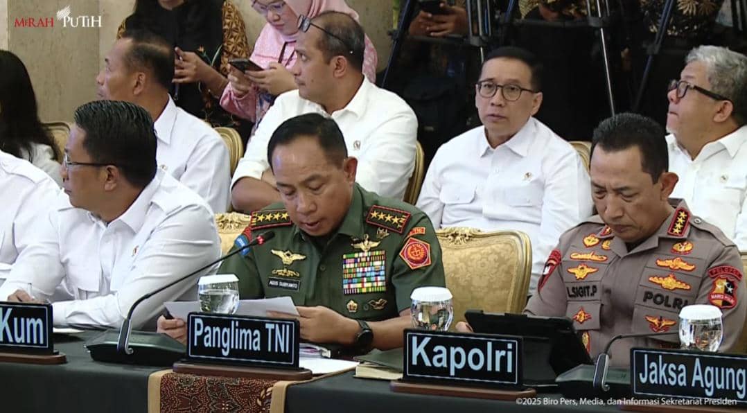 Banjir Sumatra, Panglima TNI