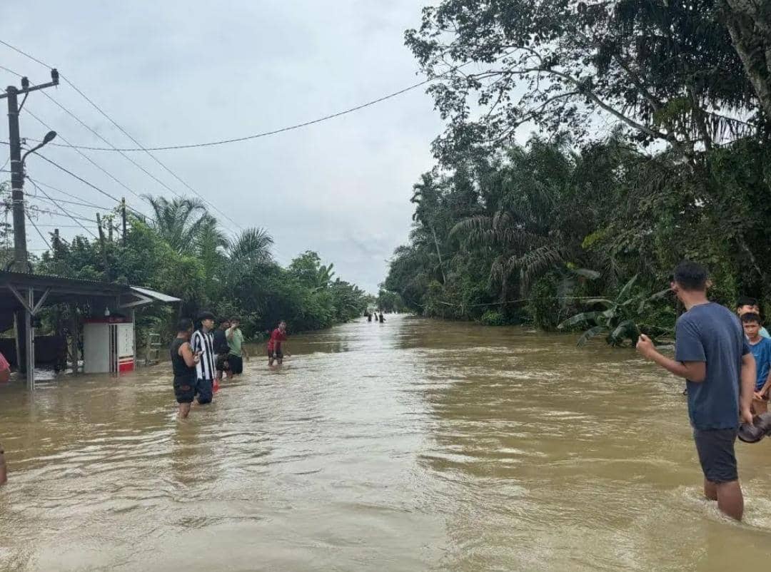 Kondisi di Desa Peninggalan Tungkal Jaya yang lumpuh akibat banjir