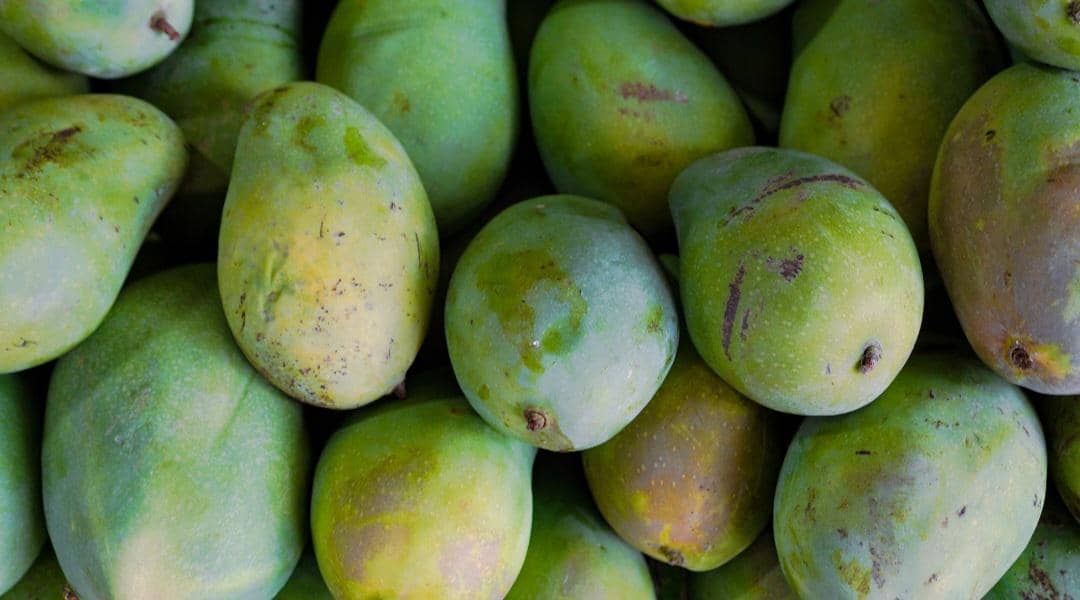 mangga (vecteezy.com/Sulistianto N)