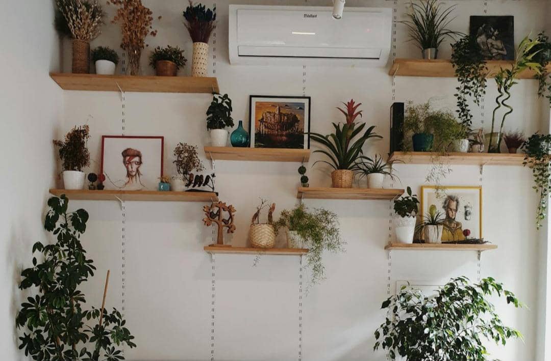 ilustrasi tanaman tiruan