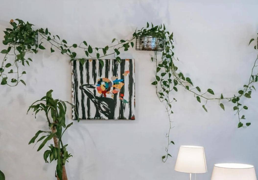 ilustrasi tanaman hias