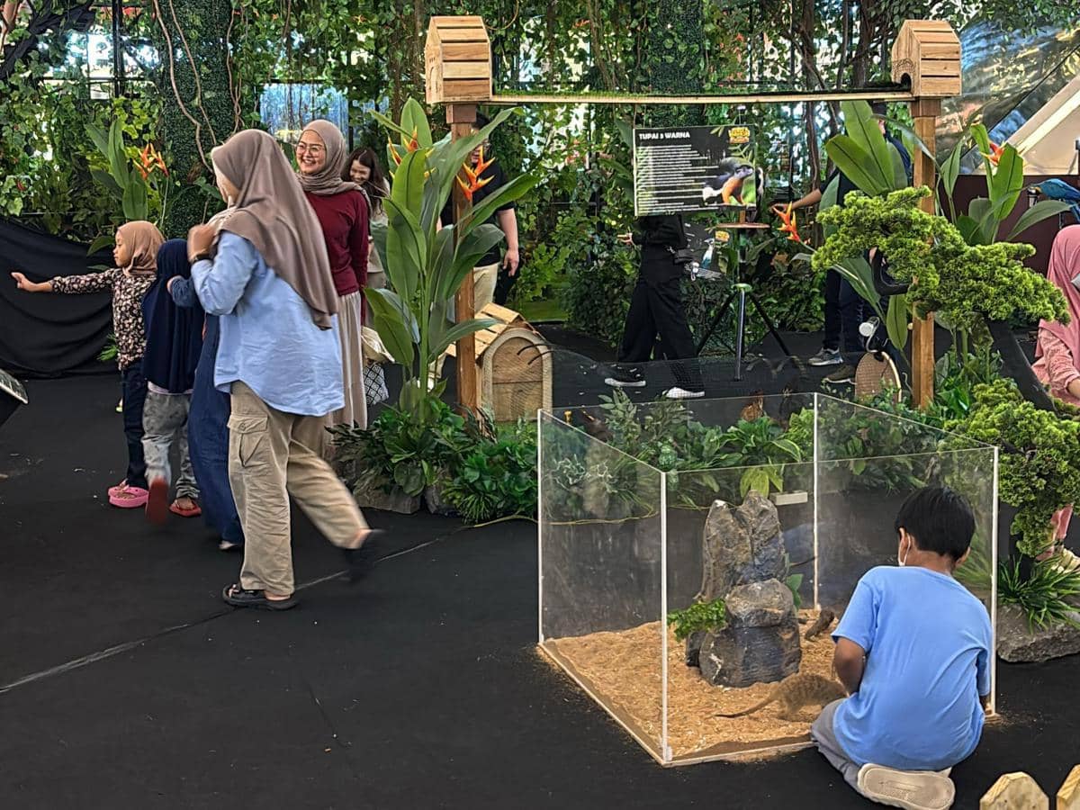 Jungle Wonderland di Mal Ciputra Tangerang 