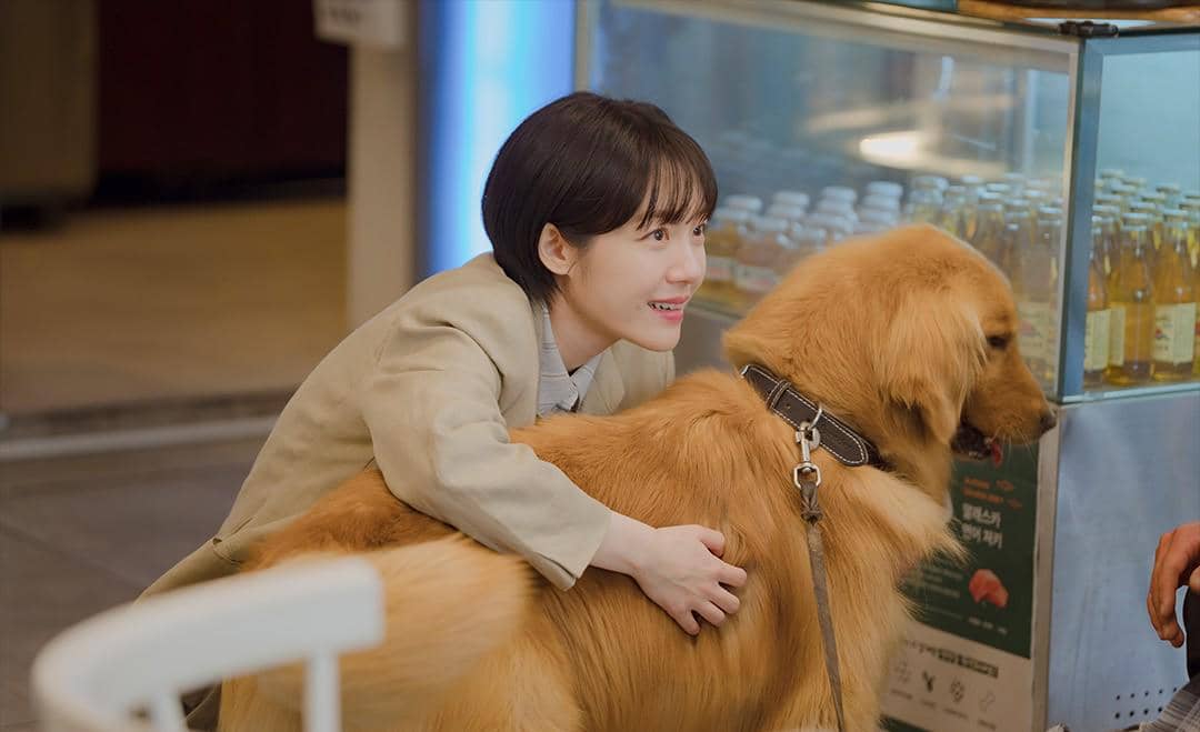 still cut drama Korea Pro Bono 