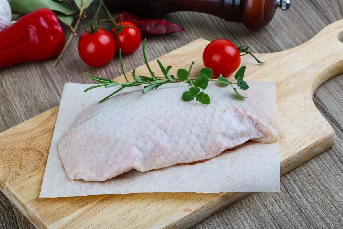 ilustrasi daging bebek