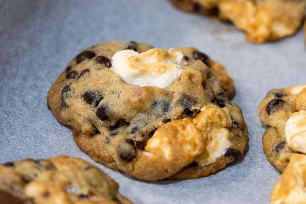 ilustrasi gingerbread s'mores cookies