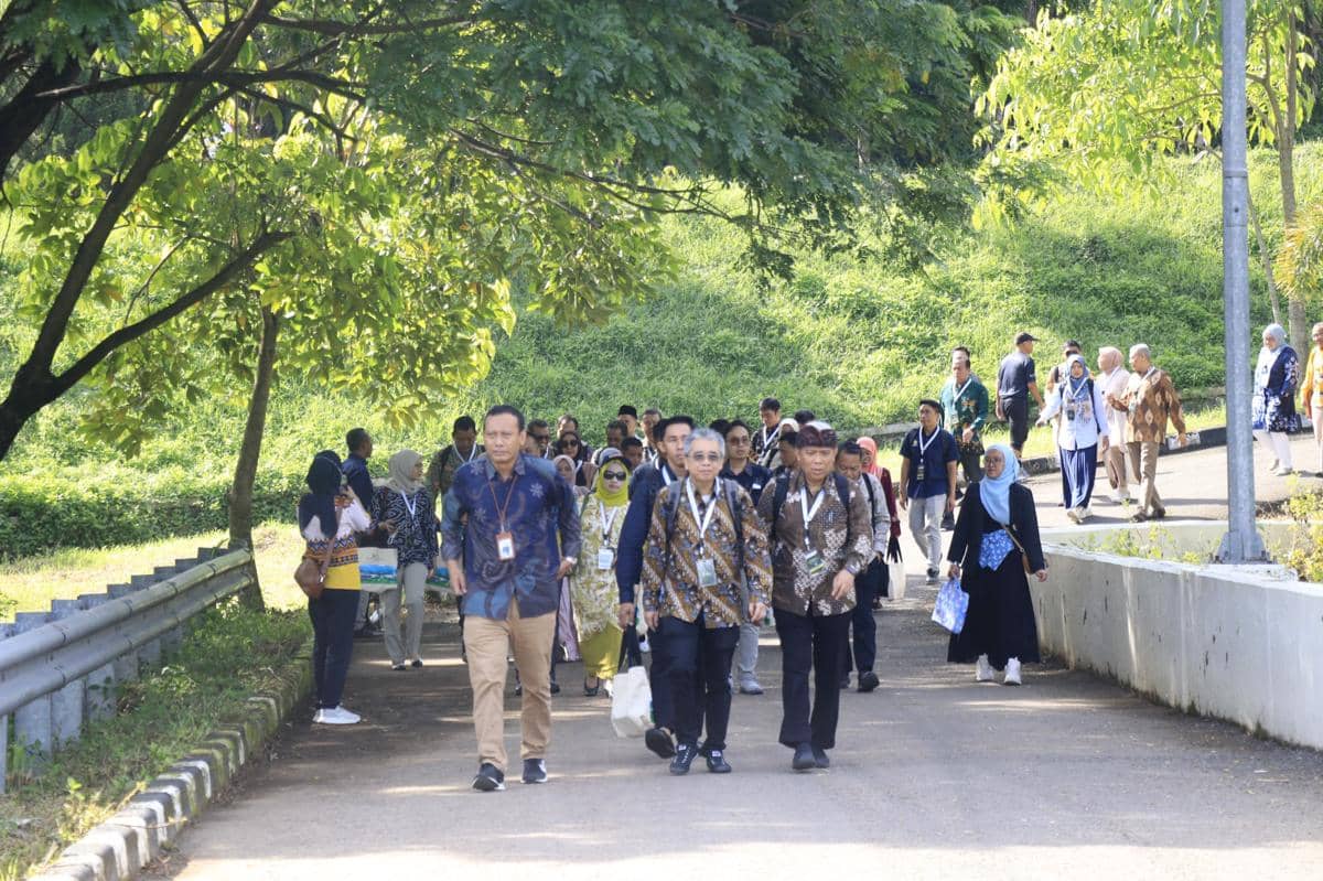 undip, ui greenmetric 