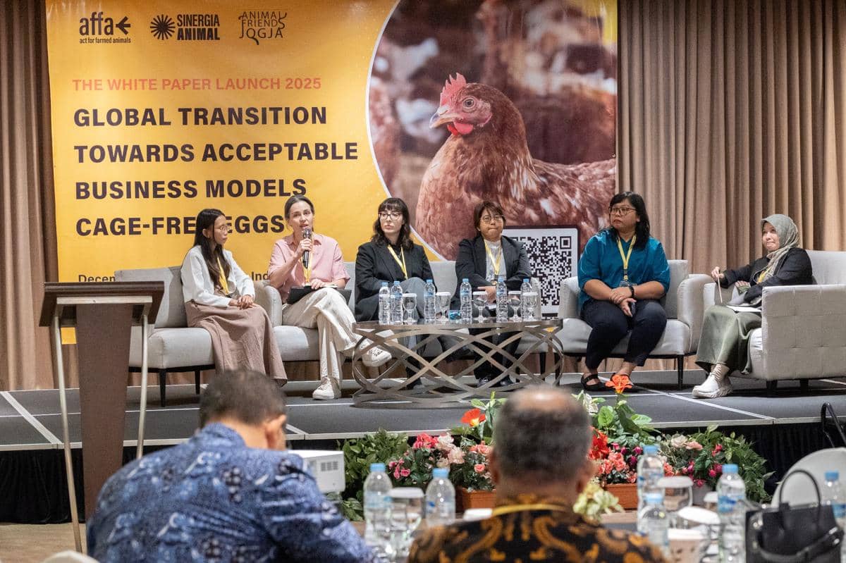 Telur Bebas Sangkar, Upaya Baru Wujudkan Pangan Lebih Etis (Dok. IDN Times)