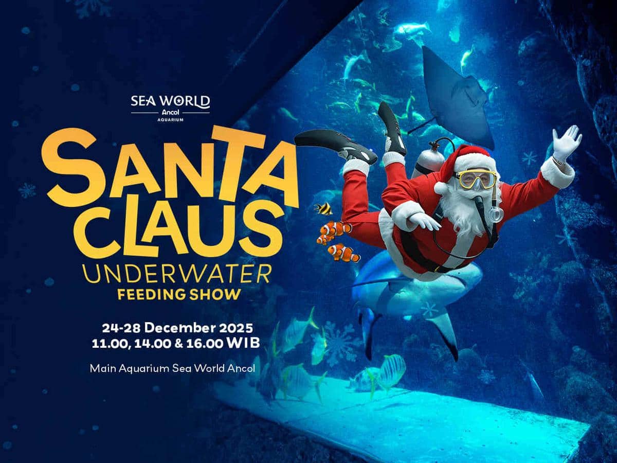 Potret acara Santa Claus Underwater di Sea World Ancol 