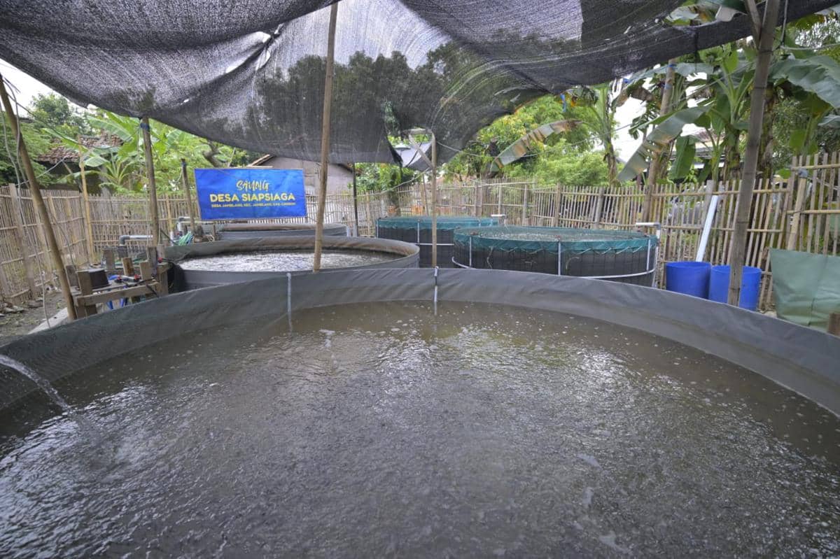 WhatsApp Image 2025-12-16 at 1.25.50 PM (2).jpeg