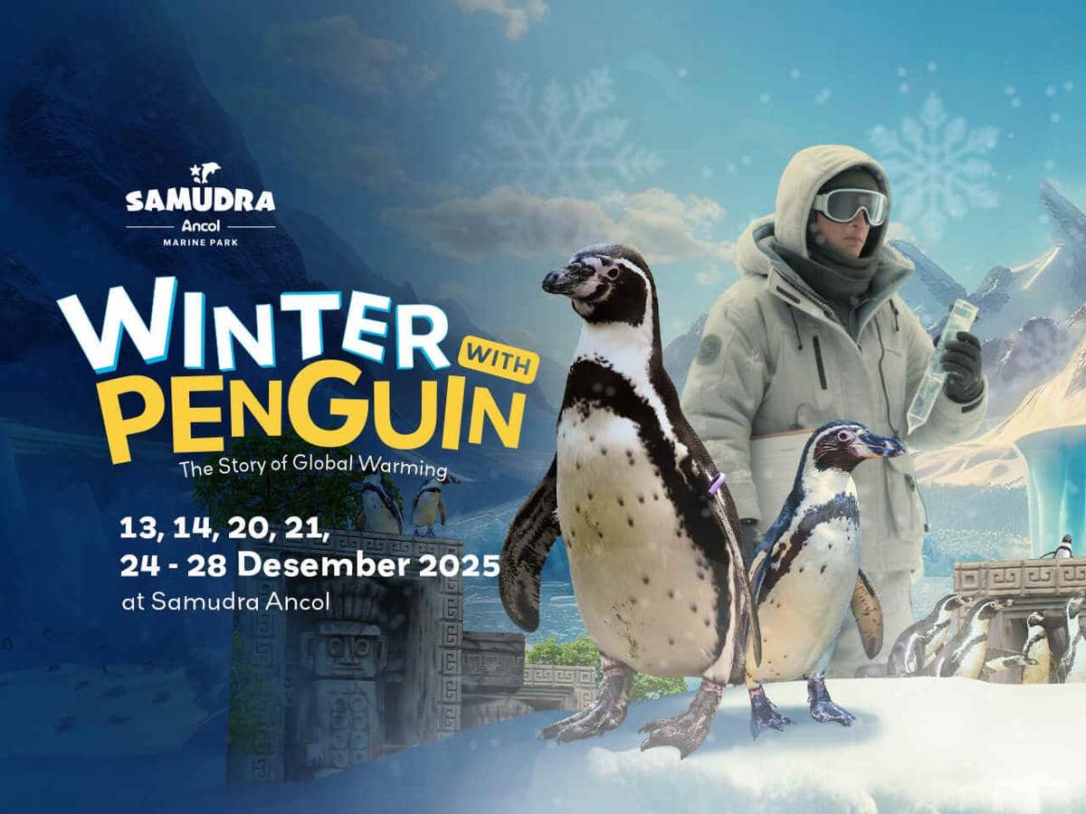 Potret acara Winter Pengun di Samudra Ancol