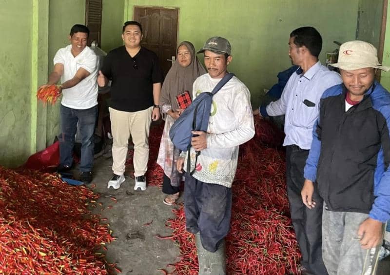 Petani cabai Takengon, Aceh Tengah menjual cabainya bekerja sama dengan Rumah Tani Nusantara dan diinisiatori Ferry Irwandi (dok.Rumah Tani Nusantara)
