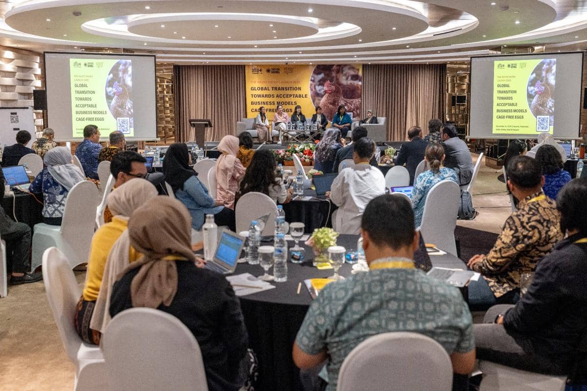 Telur Bebas Sangkar, Upaya Baru Wujudkan Pangan Lebih Etis (Dok. IDN Times)