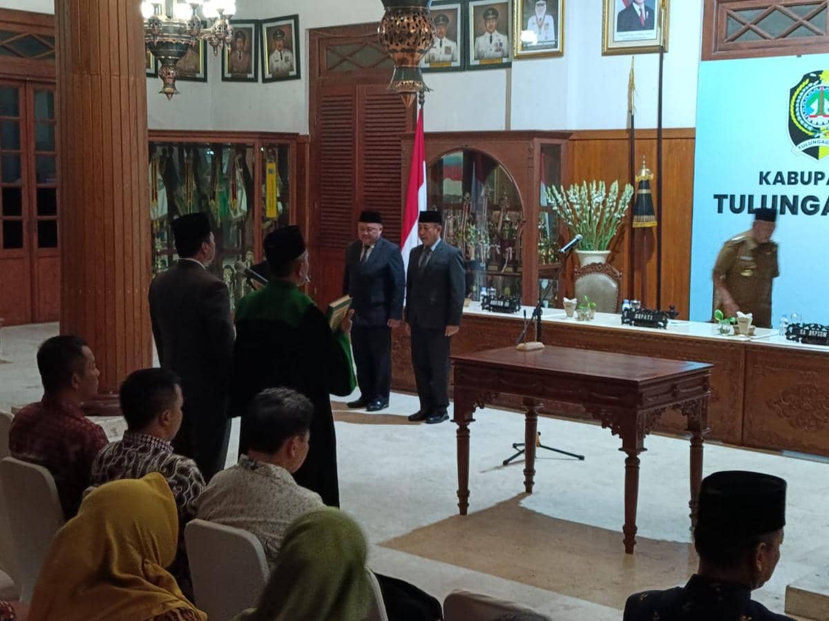 WhatsApp Image 2025-12-16 at 05.12.29 (1).jpeg