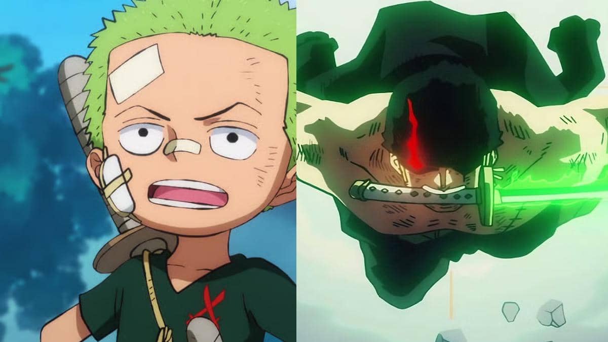 perkembangan-roronoa-zoro.jpg