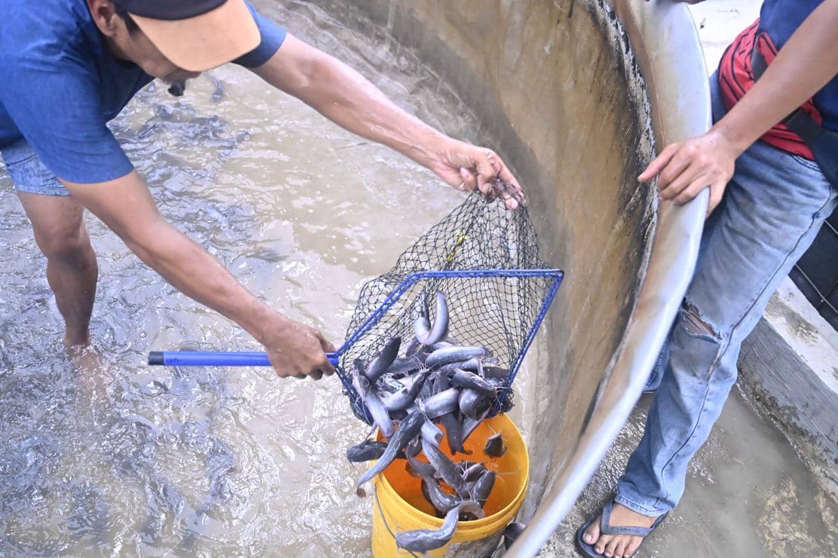 WhatsApp Image 2025-12-16 at 1.25.50 PM (1).jpeg