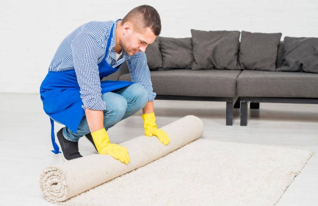 ilustrasi membersihkan karpet