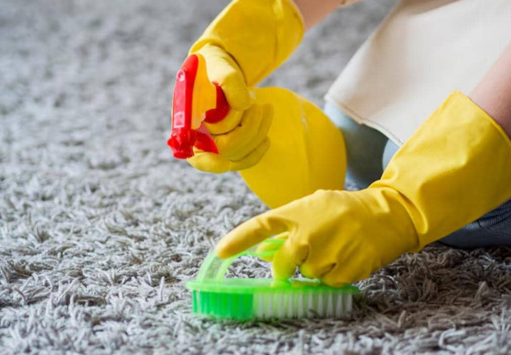 ilustrasi membersihkan karpet