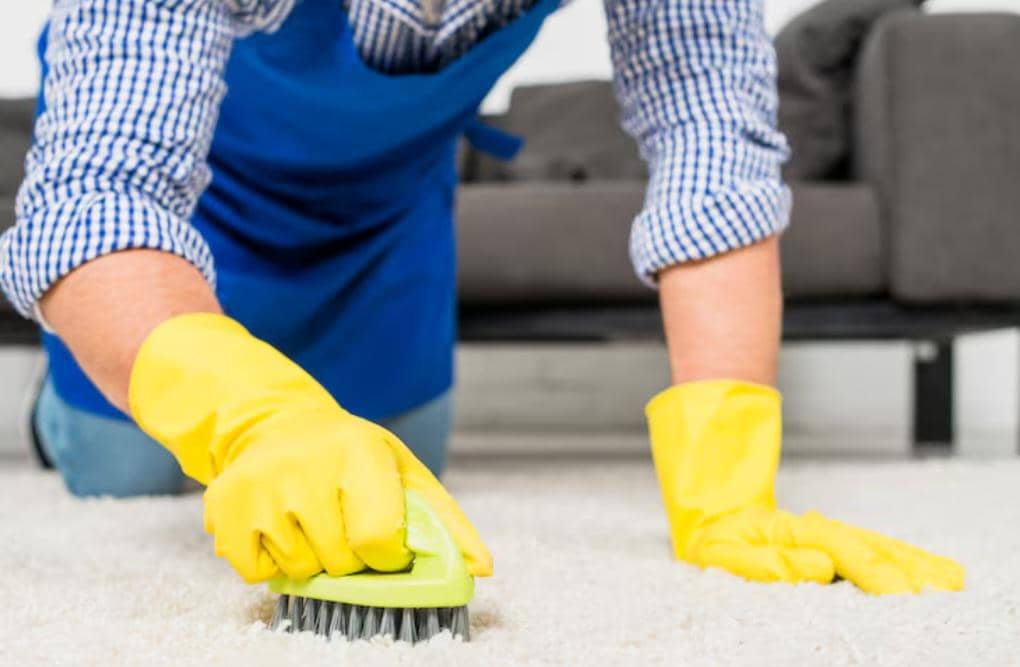 ilustrasi membersihkan karpet