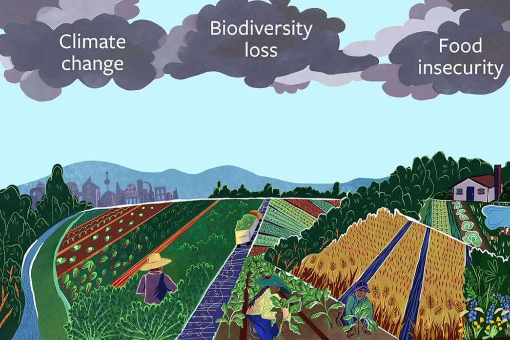 Ancaman di era Antroposen—perubahan iklim, hilangnya keanekaragaman hayati, dan krisis pangan global—yang akan memperburuk tantangan iklim, ekologi, sosial ekonomi, dan politik yang sudah lama menjadi tantangan bagi pertanian dan sistem pangan.