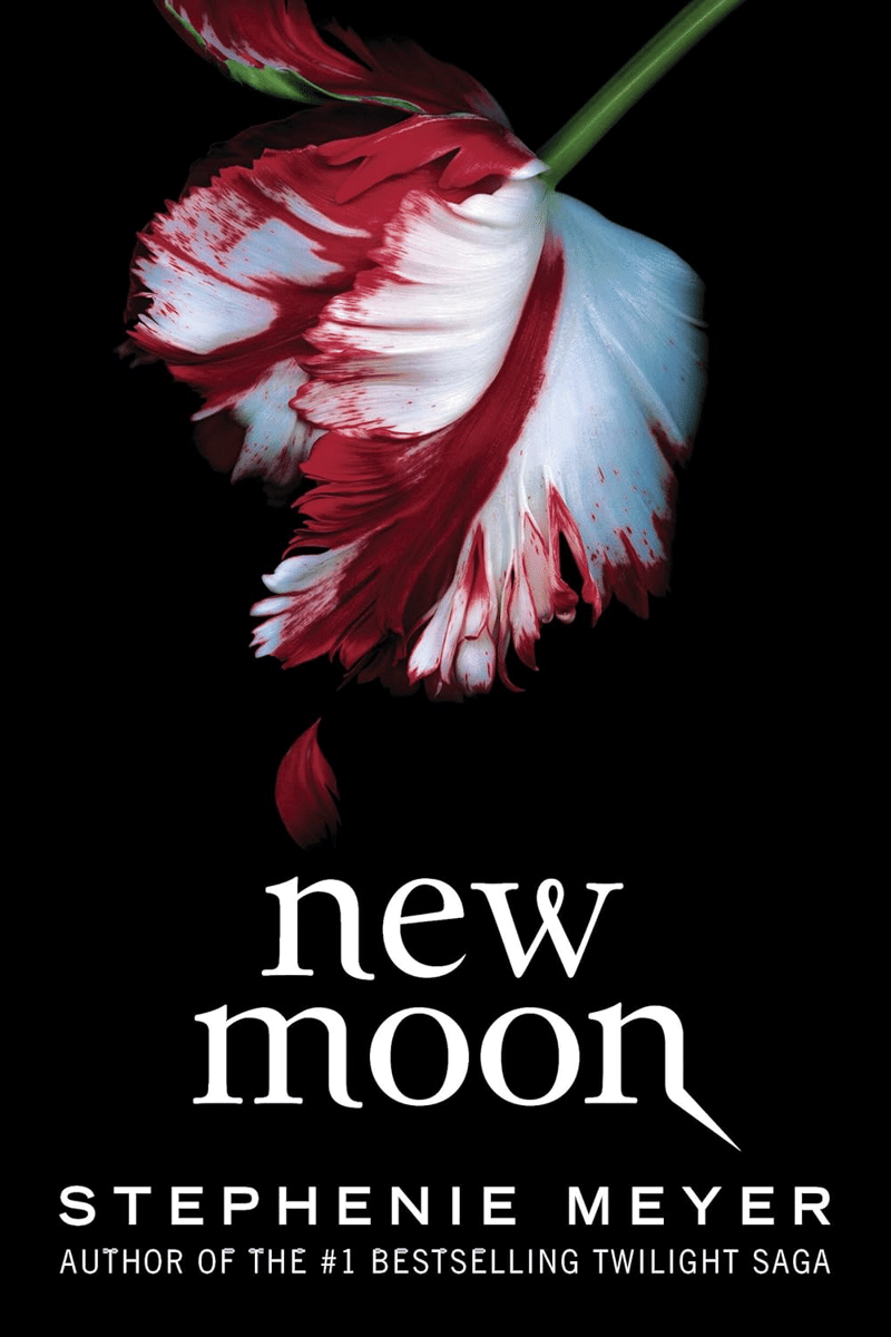 buku New moon