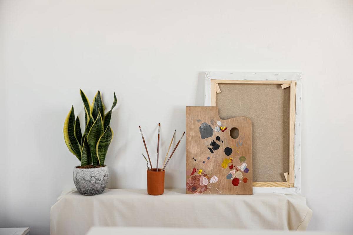 illustrasi tanaman Sansevieria