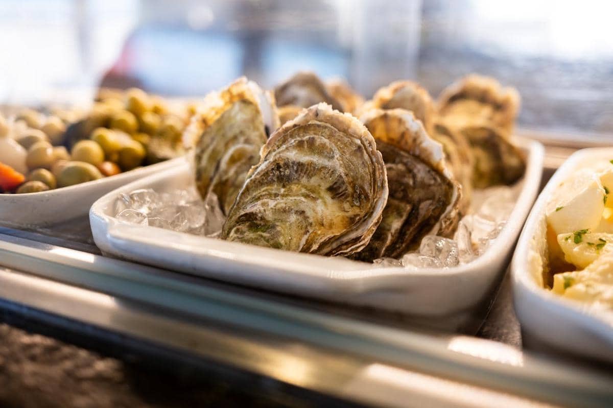 Beberapa oyster segar tersusun di atas es dalam wadah putih di samping hidangan lain di meja saji restoran.