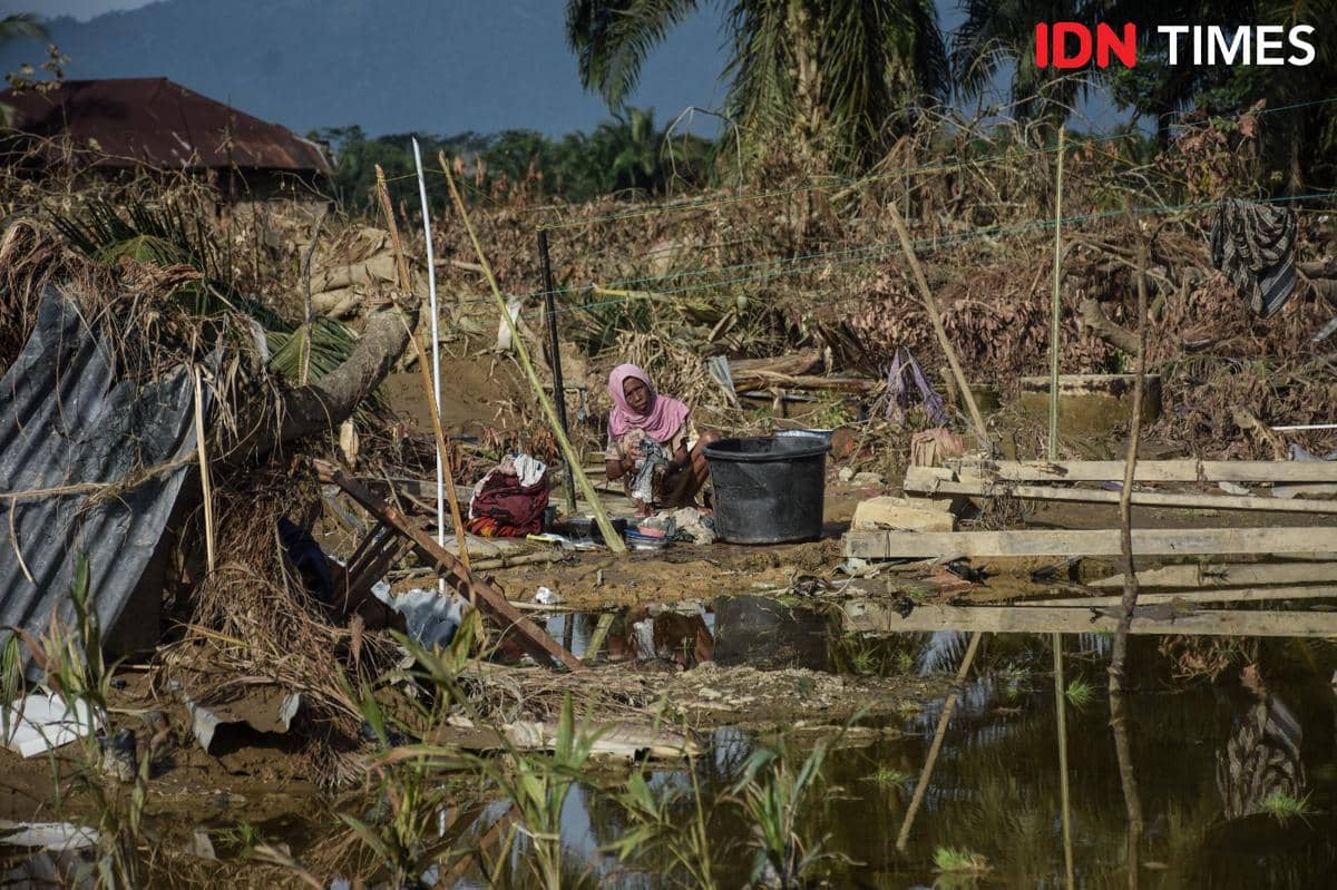 WhatsApp Image 2025-12-17 at 11.17.03_4f19a3a3.jpg