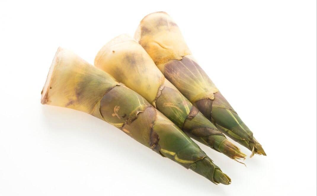 5 Bahan untuk Menghilangkan Bau Pesing pada Rebung