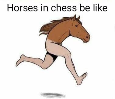 meme kartun tentang lari