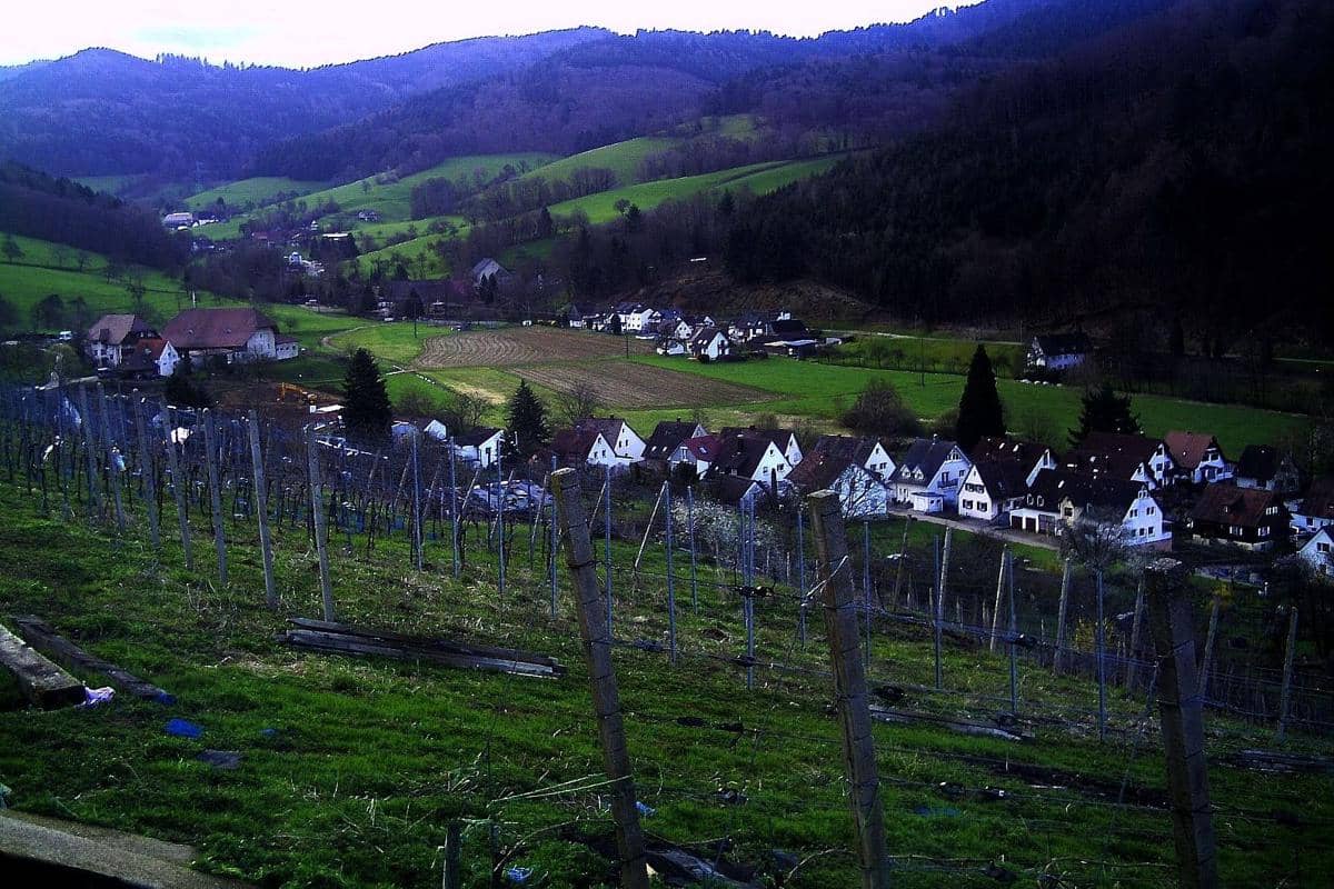 Black Forest, Kota Freiburg, Jerman
