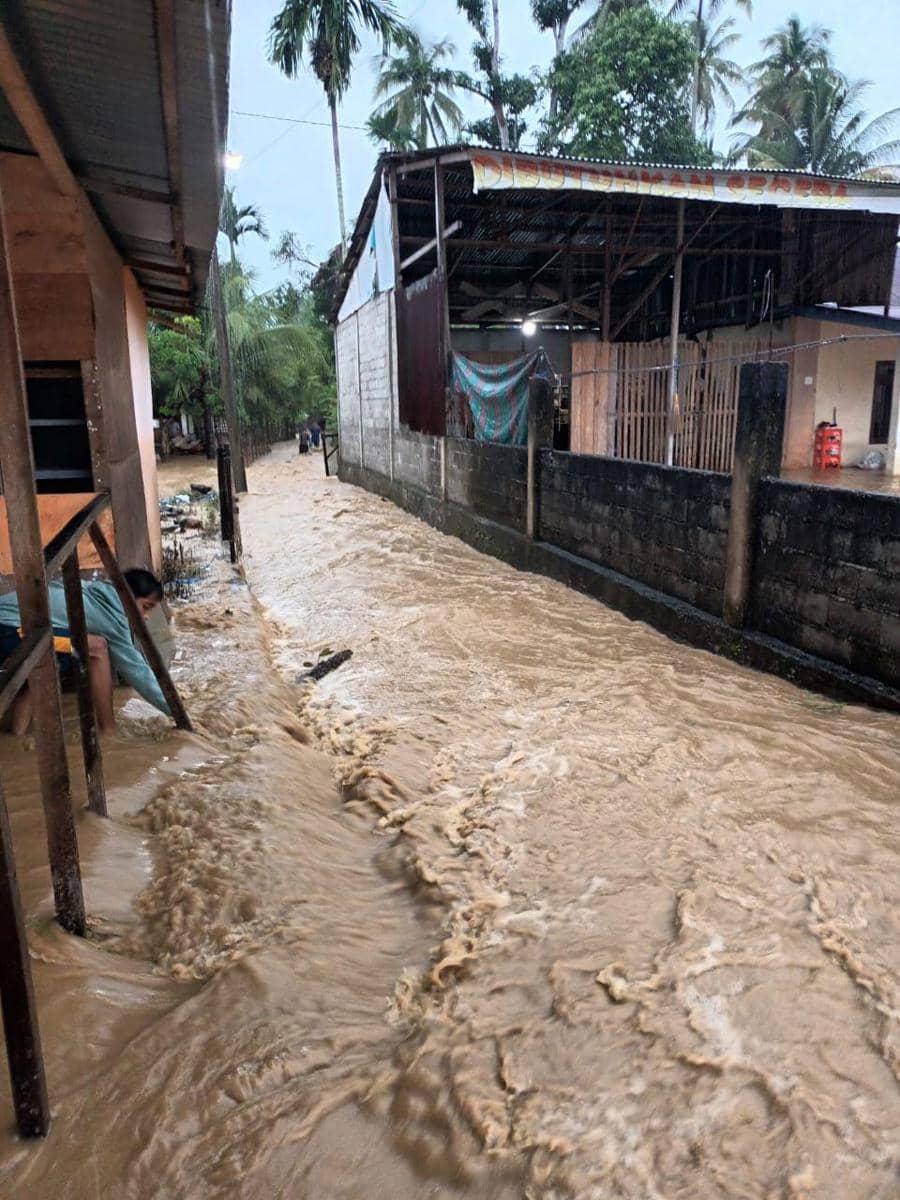 ilustrasi situasi banjir di Sumatra