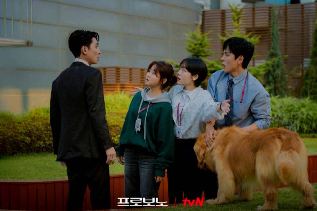 still cut drama Pro Bono 