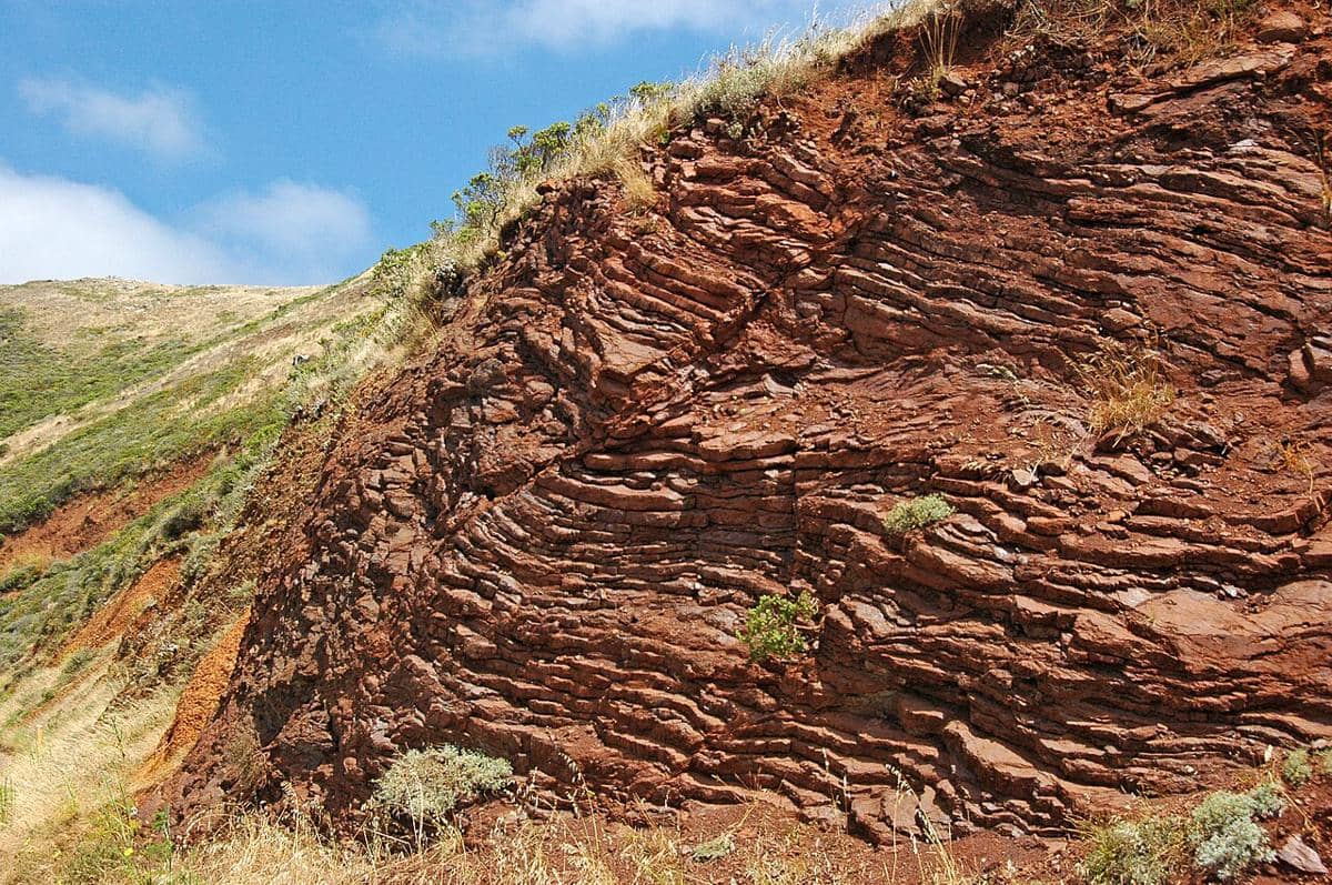 sedimen di San Francisco